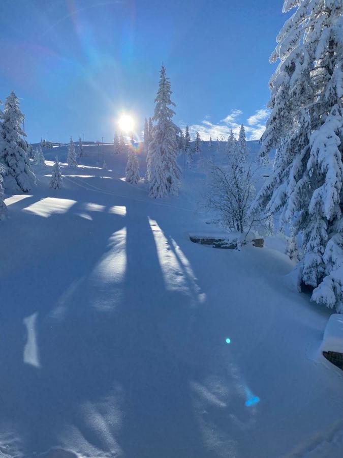 Olimpik House Jahorina Villa Esterno foto